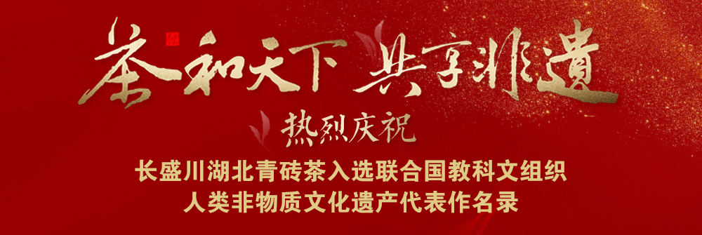 上期开特下期必开特规